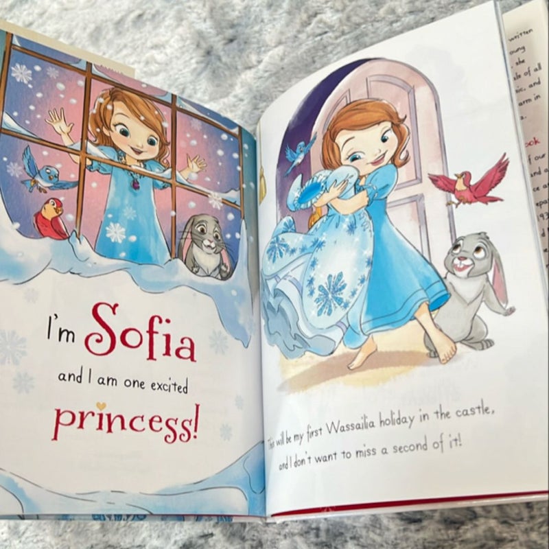 Sofia the First Holiday in Enchancia