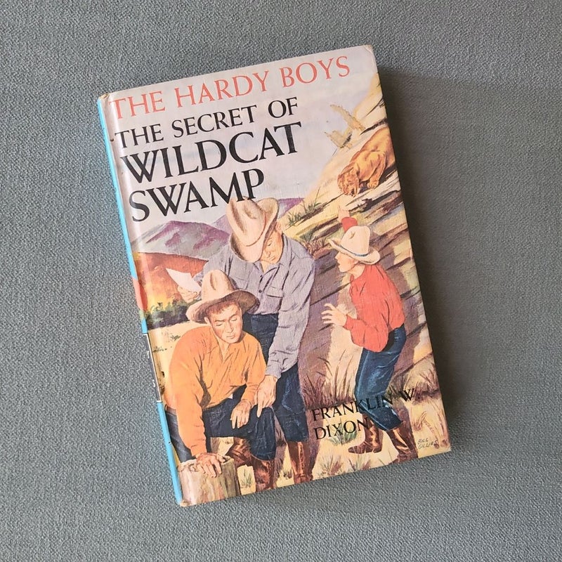 The Secret of Wildcat Swamp