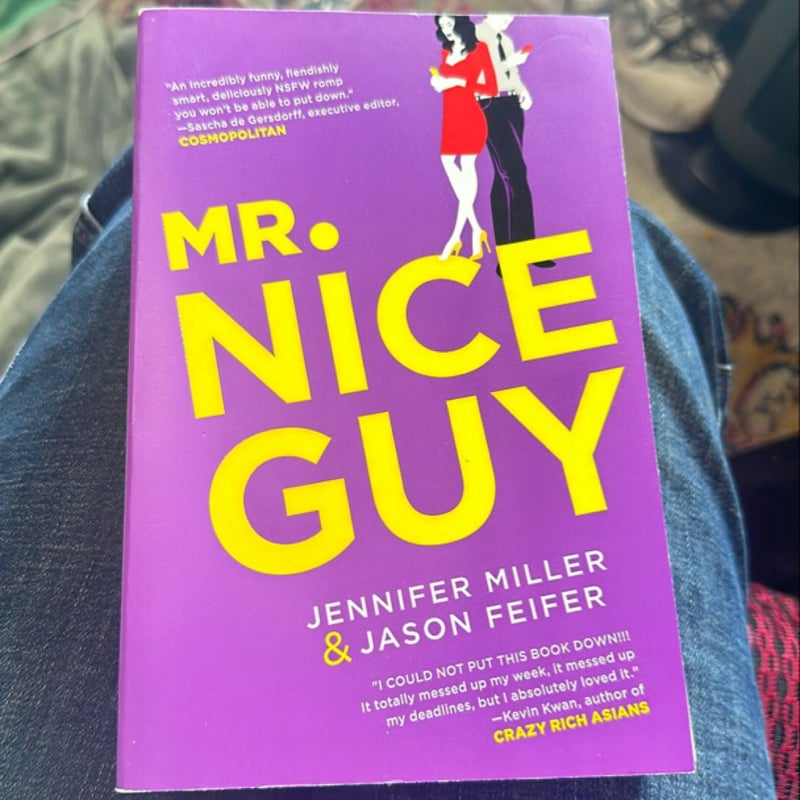 Mr. Nice Guy