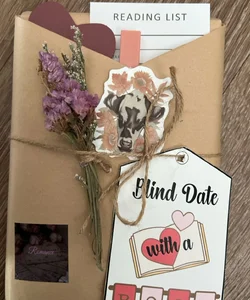 Blind date with a book- Romance 
