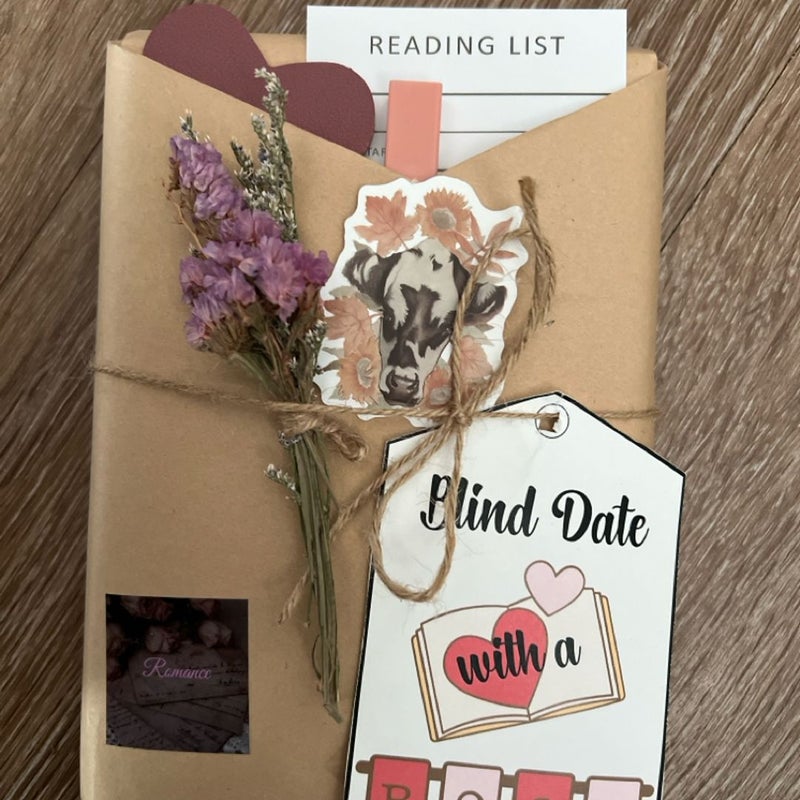 Blind date with a book- Romance 