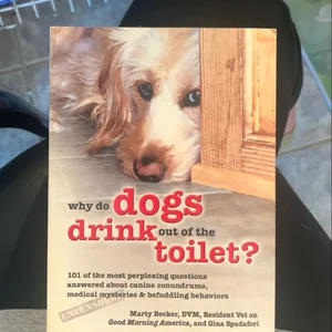 Why Do Dogs Drink Out of the Toilet?