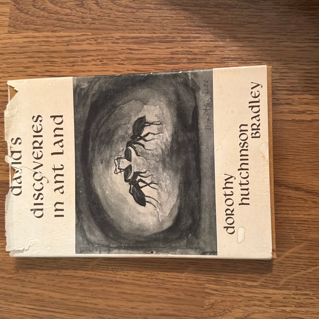 David’s Discoveries in Ant Land