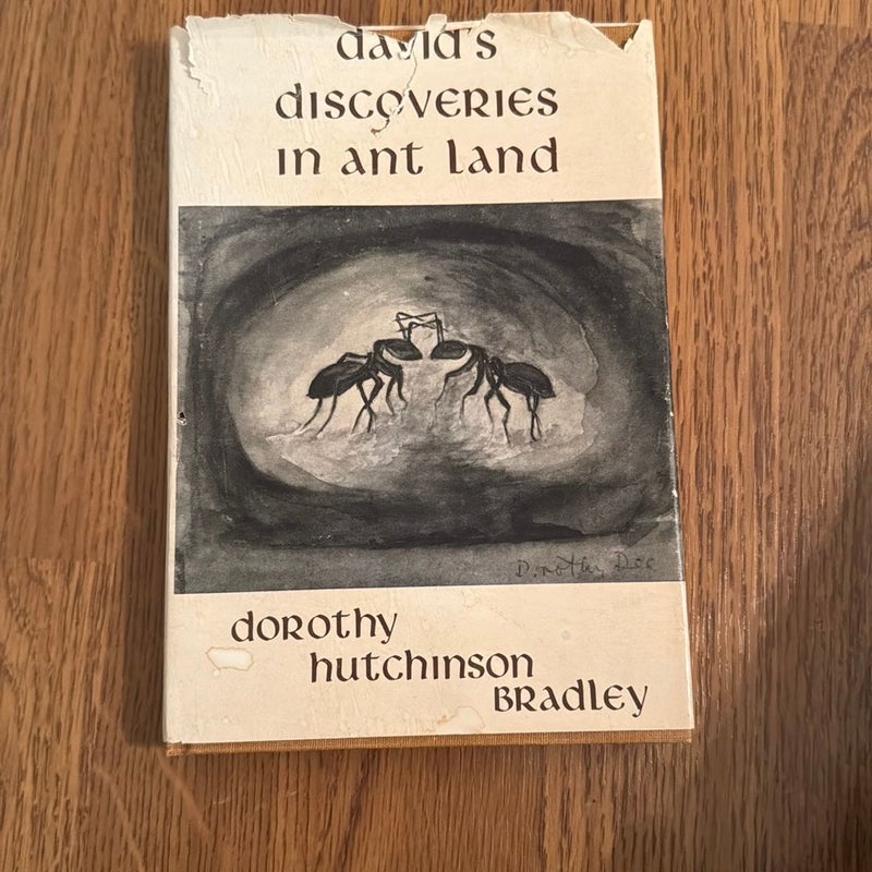 David’s Discoveries in Ant Land