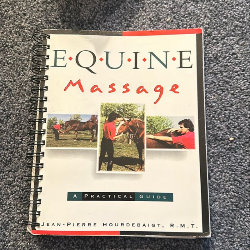 Equine Massage Therapy