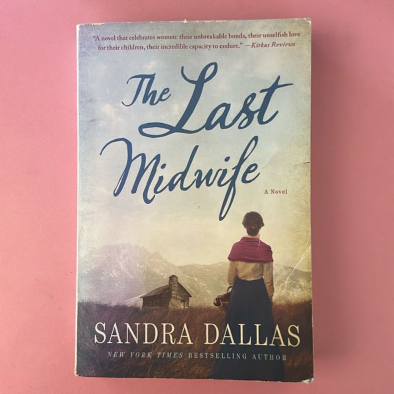The Last Midwife