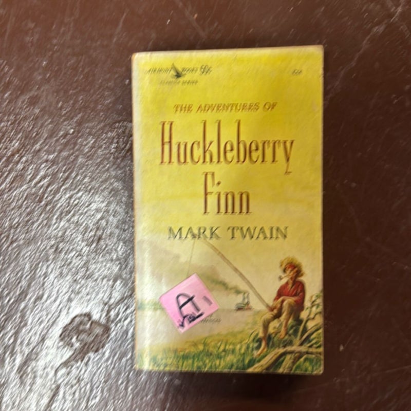 Huckleberry Finn