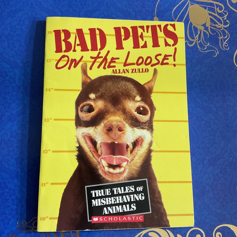 Bad Pets: On the Loose!