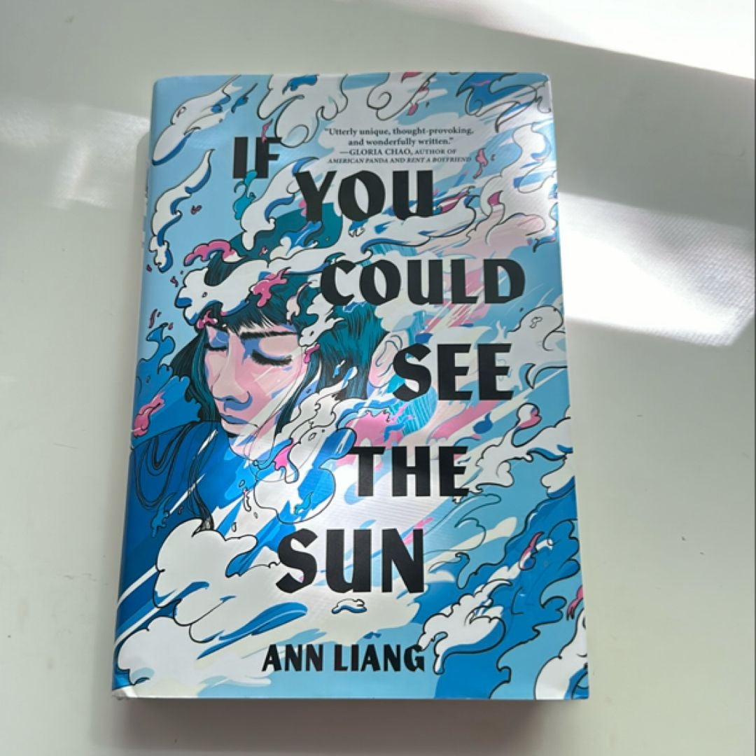 If You Could See the Sun by Ann Liang, Hardcover Pangobooks