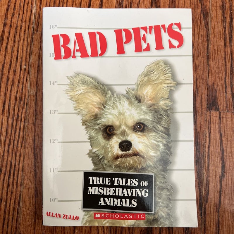 Bad Pets