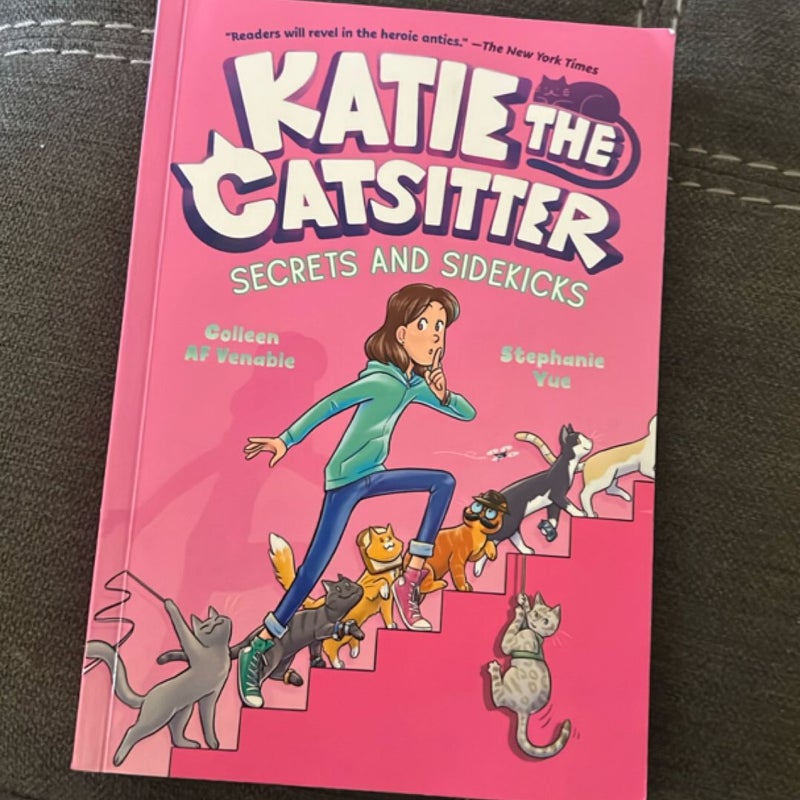 Katie the Catsitter 3: Secrets and Sidekicks