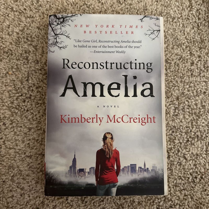 Reconstructing Amelia