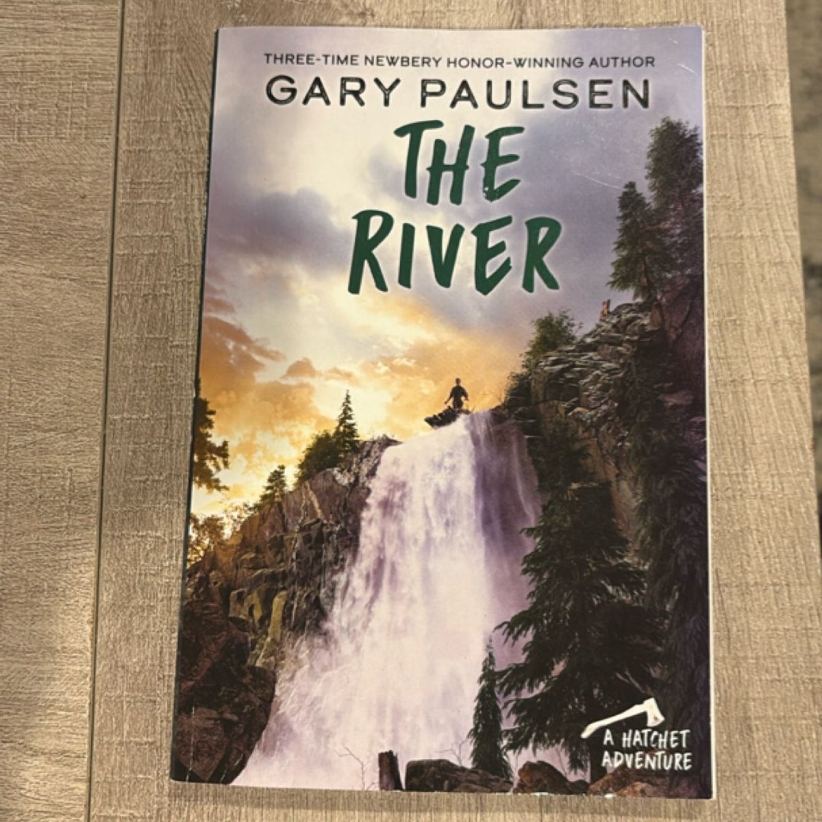 The River by Gary Paulsen