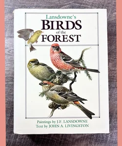 Lansdowne’s Birds of the Forest