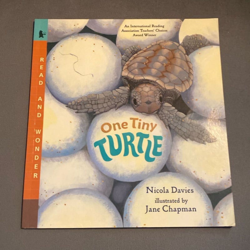 One Tiny Turtle