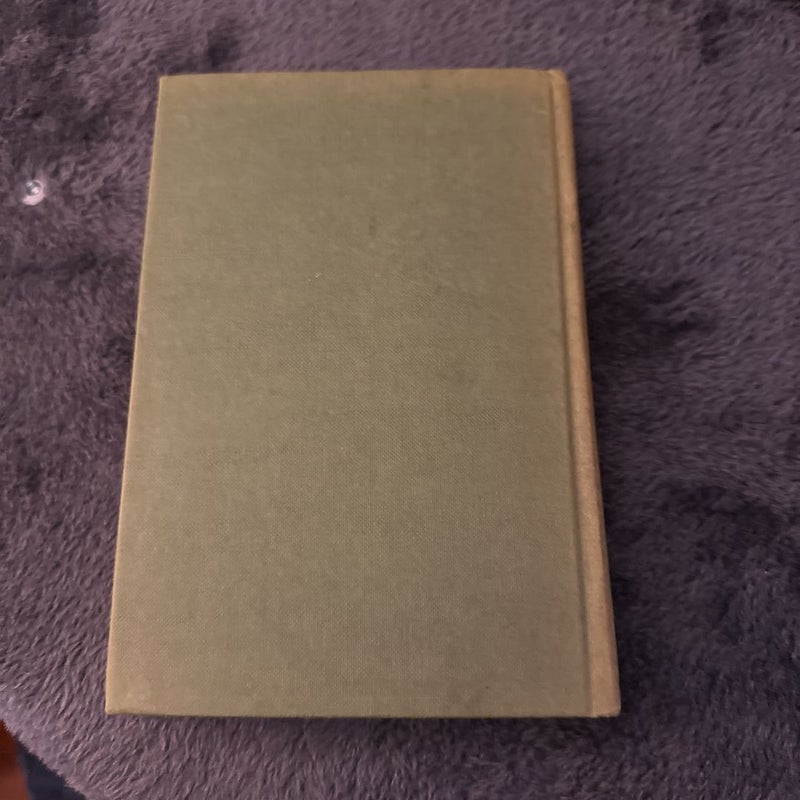 The Bobbsey Twins at the Seashore ~ Vintage 1979 Reproduction of 1904 Original