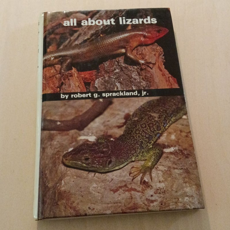 All about Lizards