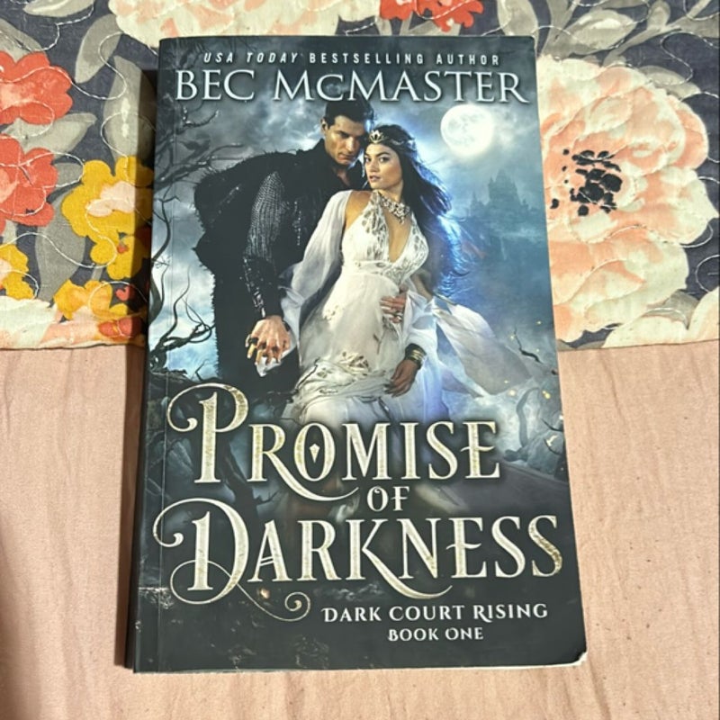 Promise of Darkness