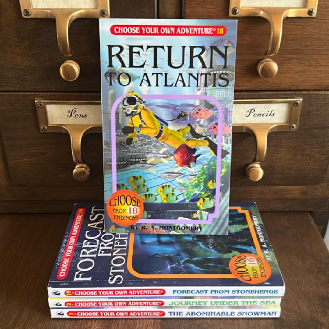 Choose Your Own Adventure bundle