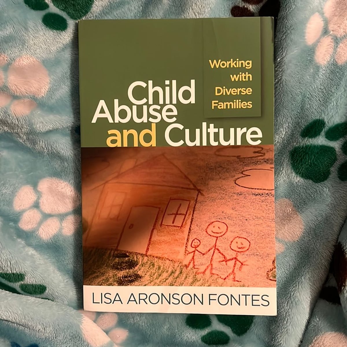 Child Abuse and Culture by Lisa Aronson Fontes, Jon R. Conte