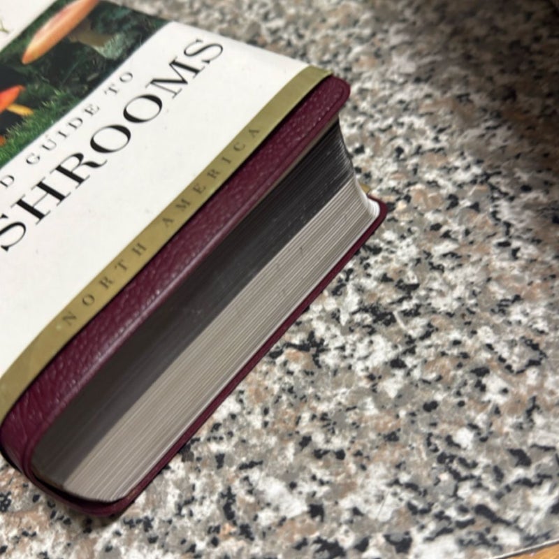 National Audubon Society Field Guide to North American Mushrooms
