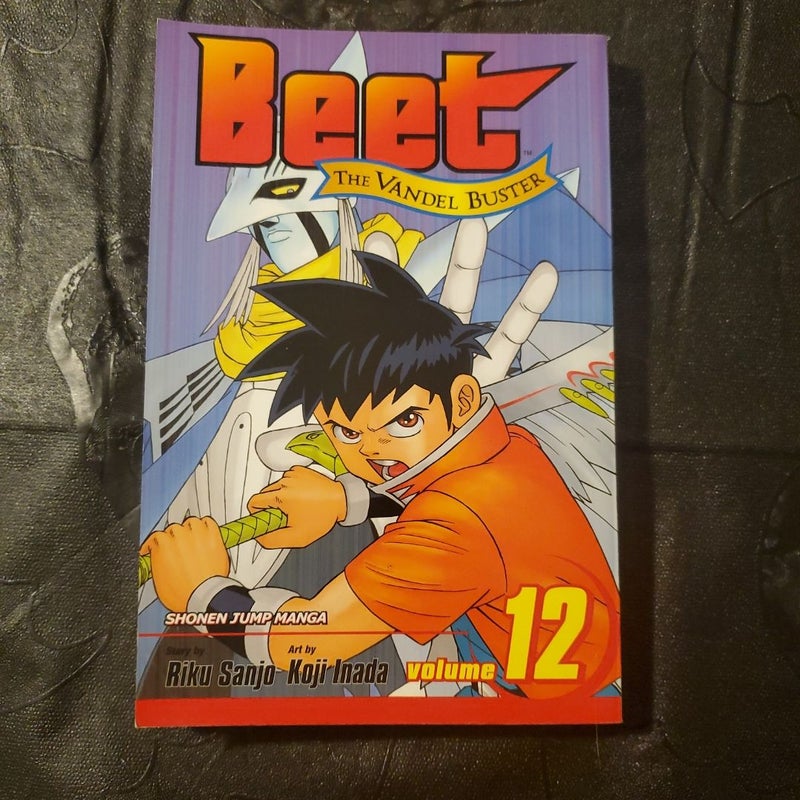 Beet the Vandel Buster, Vol. 12