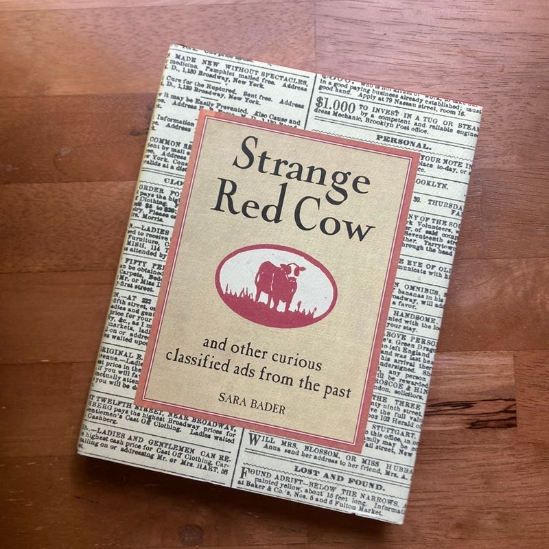 Strange Red Cow