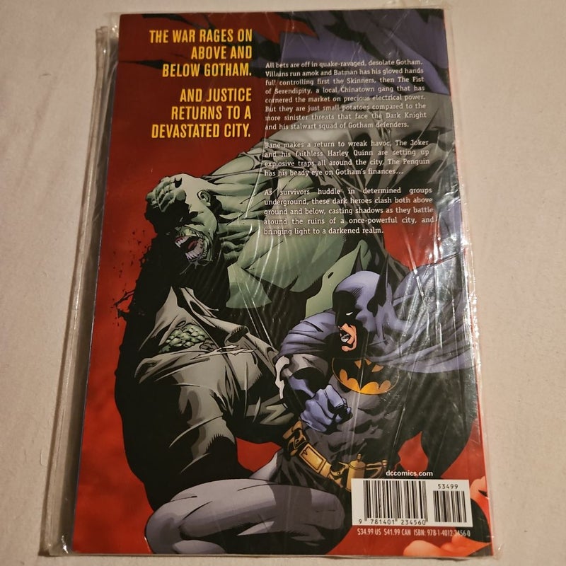 Batman: No Man's Land Vol. 3