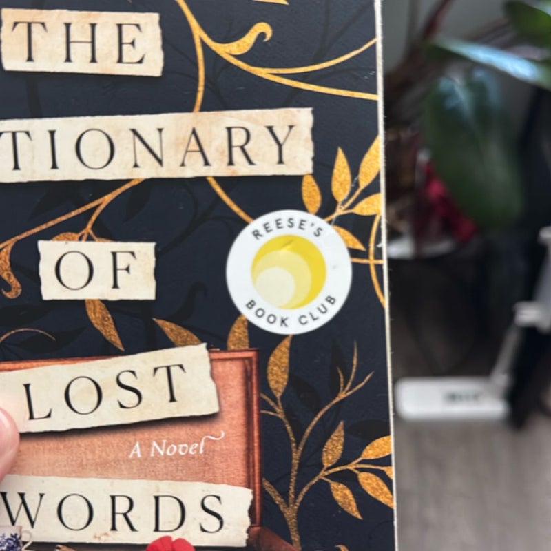 The Dictionary of Lost Words