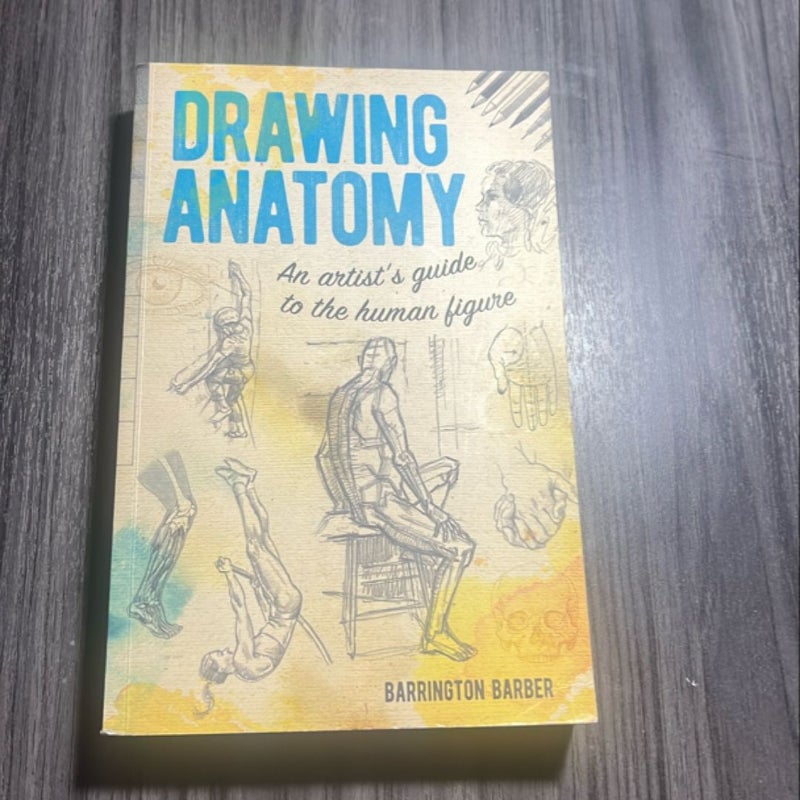 Drawing Anatomy