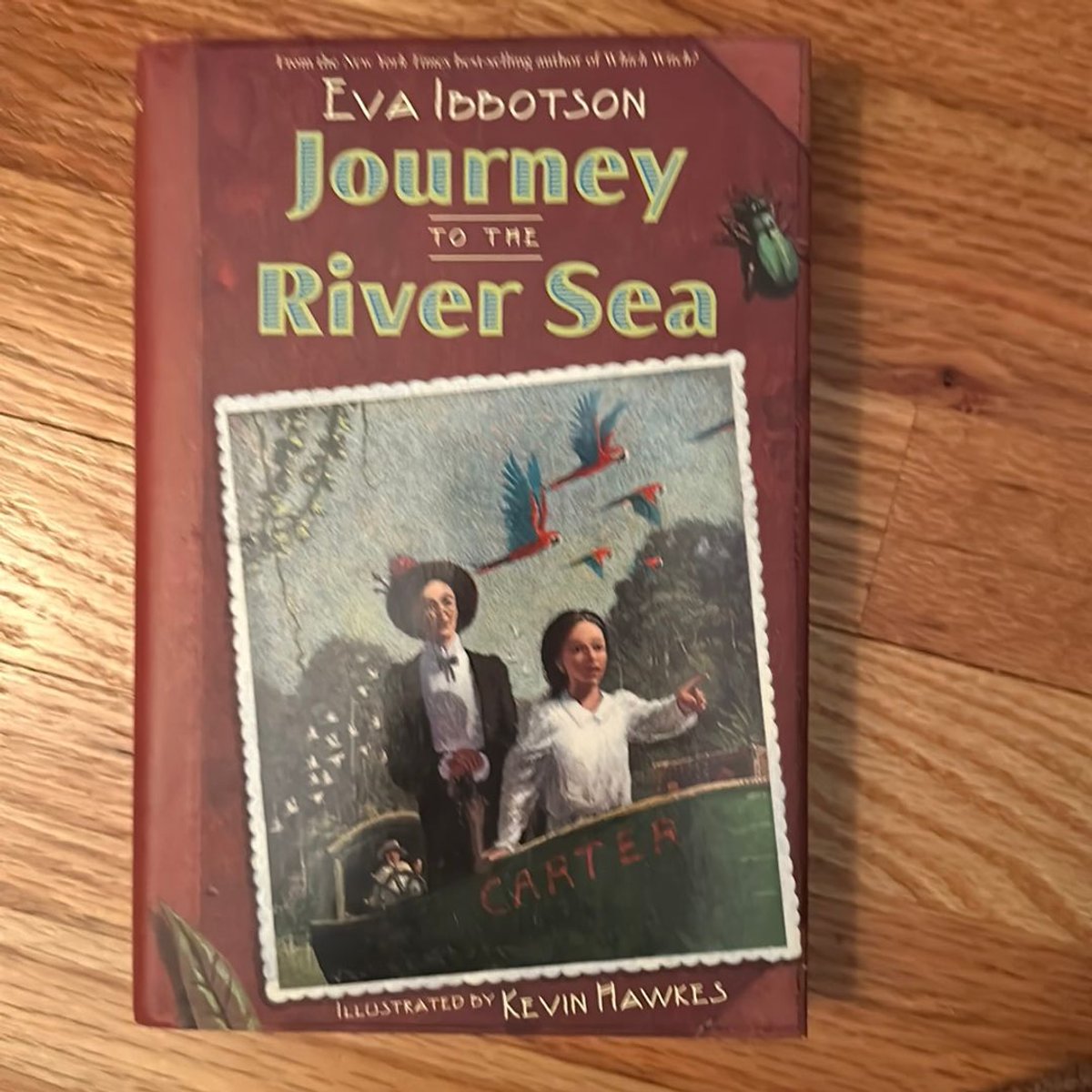 Journey to the River Sea by Eva Ibbotson