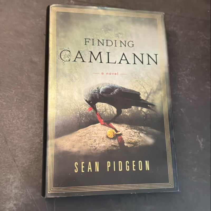 Finding Camlann