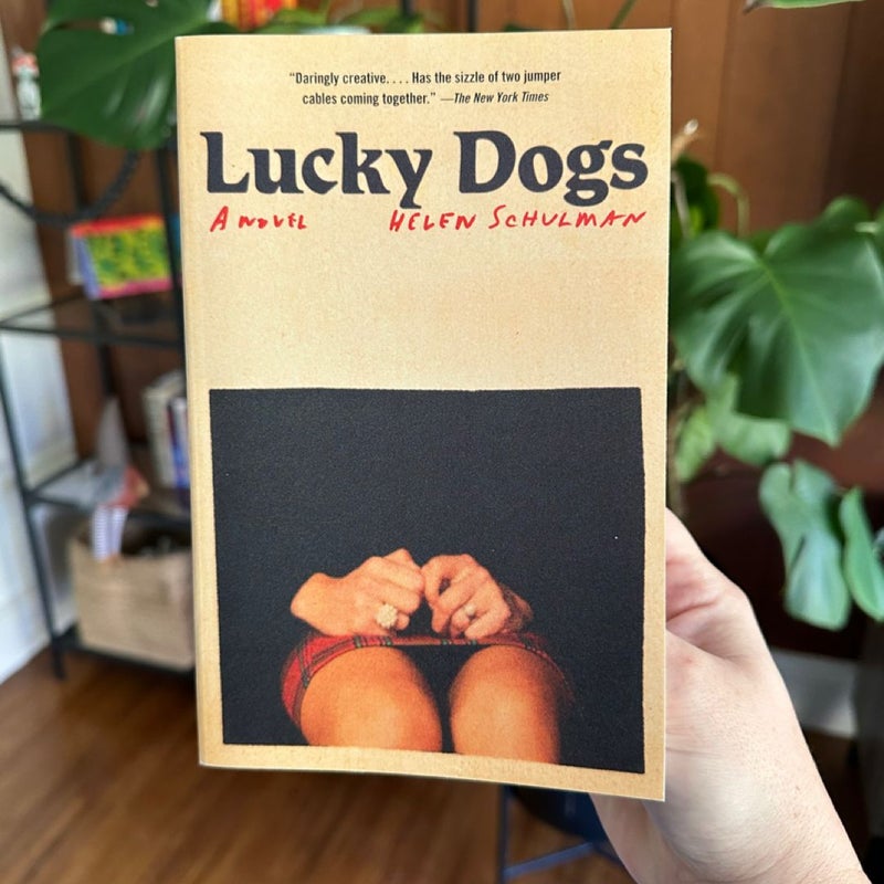 Lucky Dogs