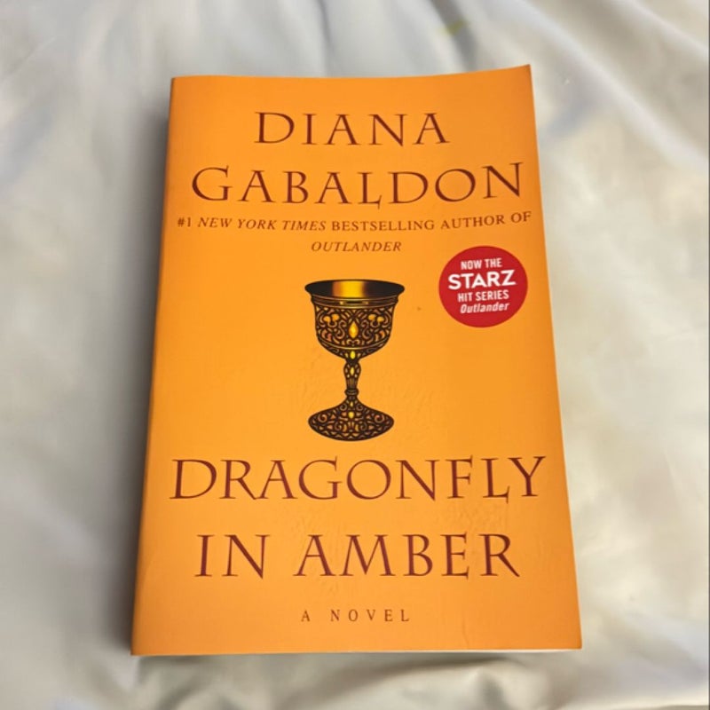 Dragonfly in Amber