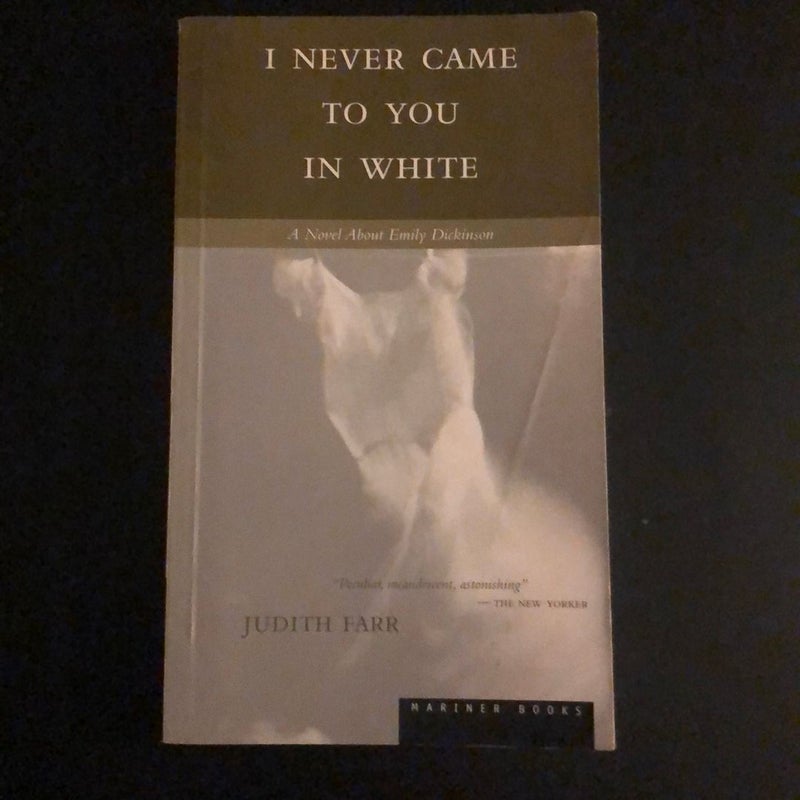 I Never Came to You in White