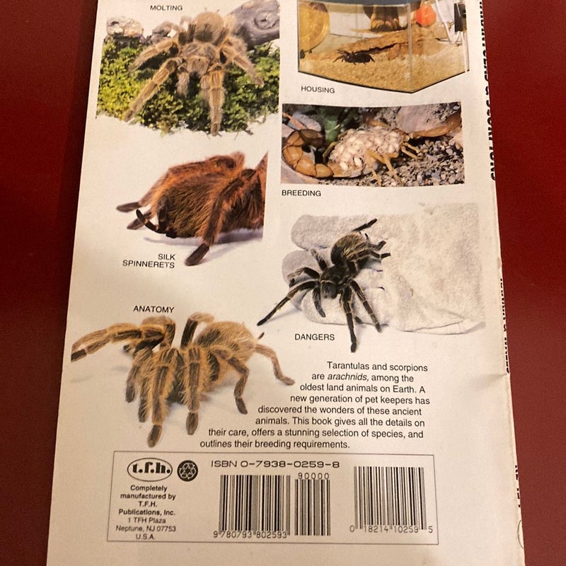 Tarantulas and Scorpions