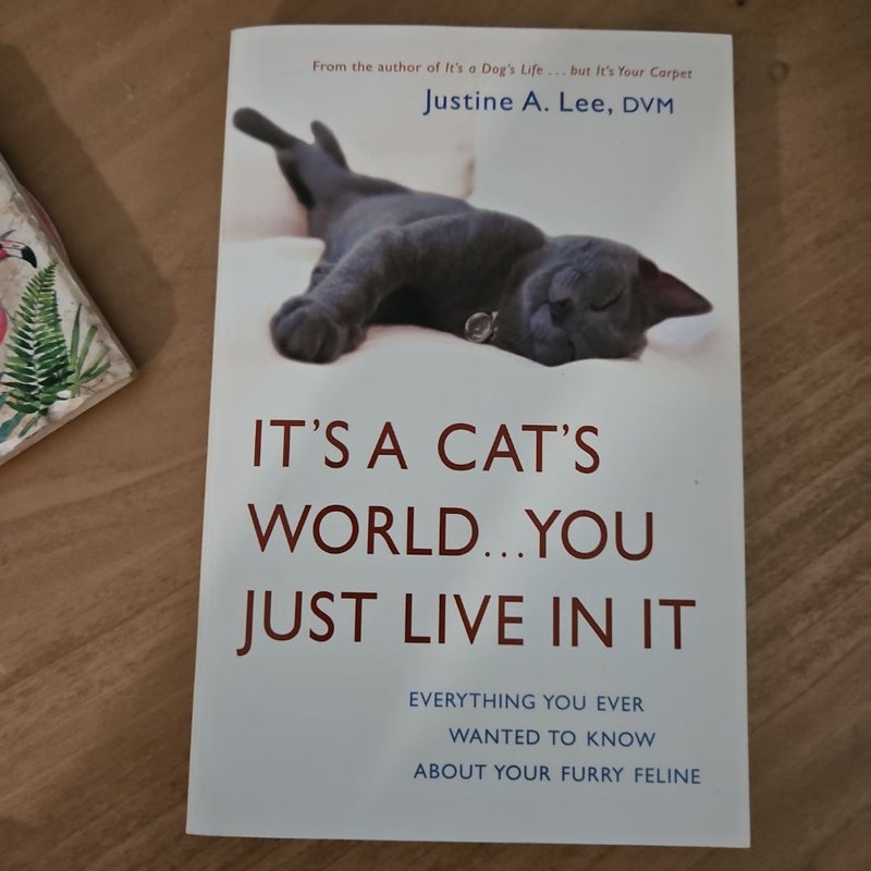 It's a cat's world... you just live in it