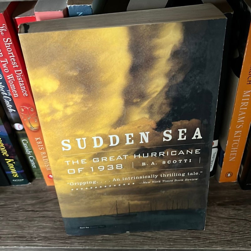 Sudden Sea