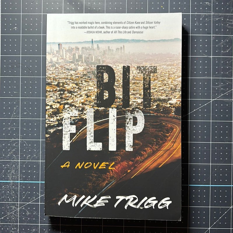 Bit Flip