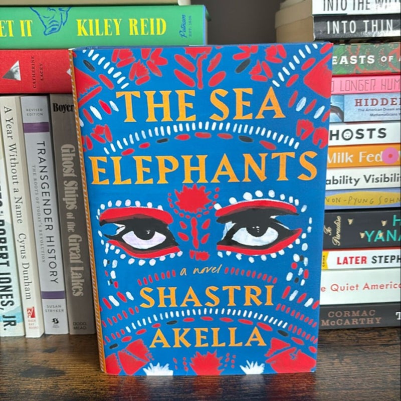 The Sea Elephants