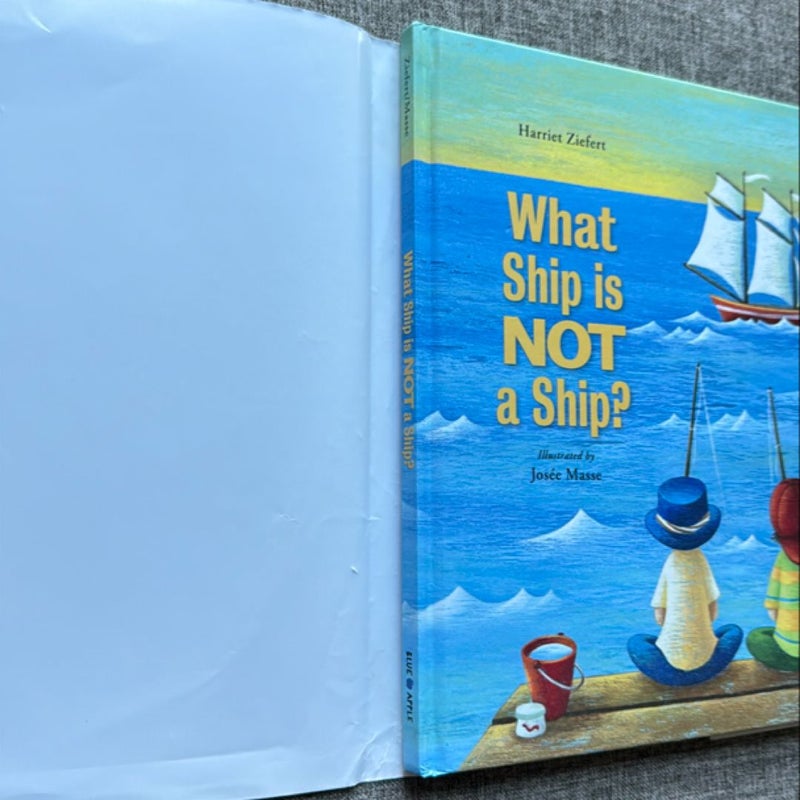 What Ship Is Not a Ship?