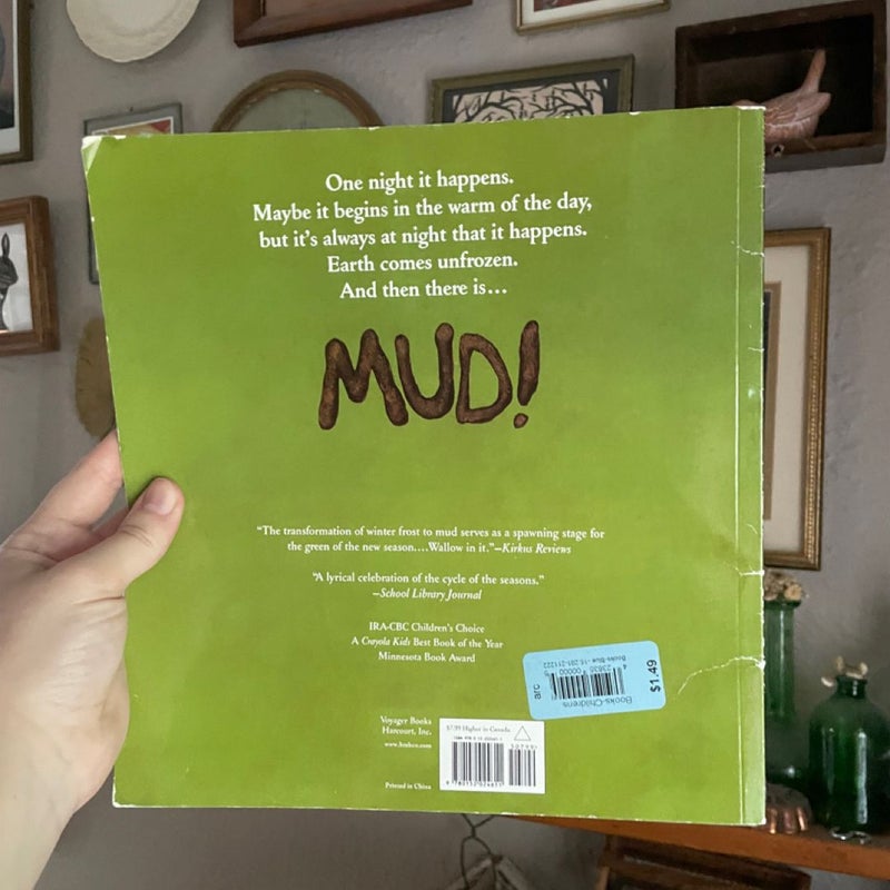 Mud