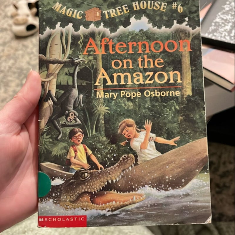 Magic tree house 