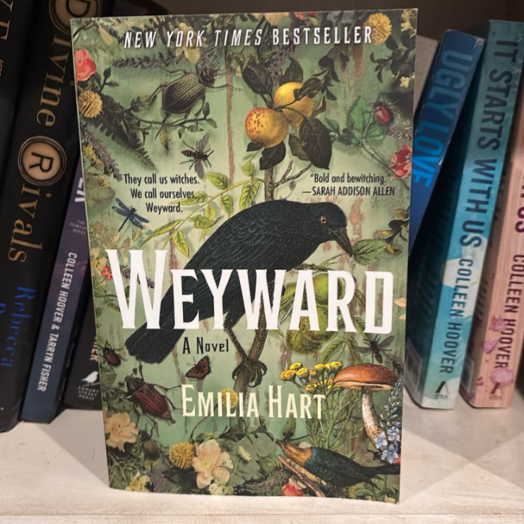 Sale image for 6260a5f2-f683-4830-aba4-9f15a2c2b0d7-2Iww5ovgJLWV99trZ0jQlIM8wXX2