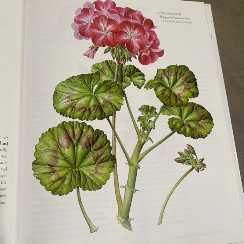 The Art of Botanical Painting