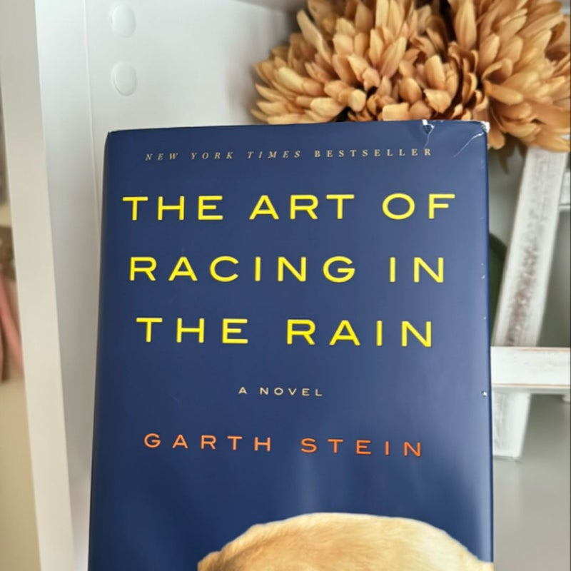 The Art of Racing in the Rain