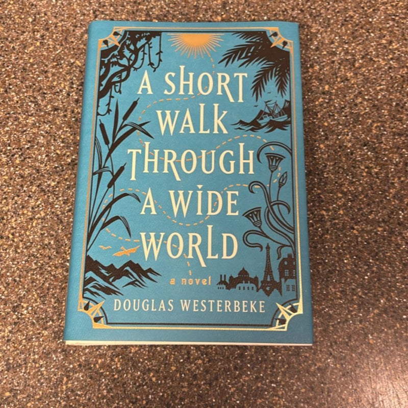 A Short Walk Through a Wide World