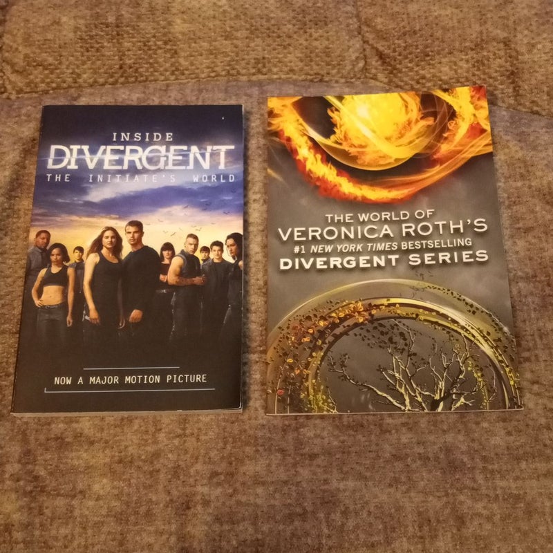 Inside Divergent: the Initiate's World