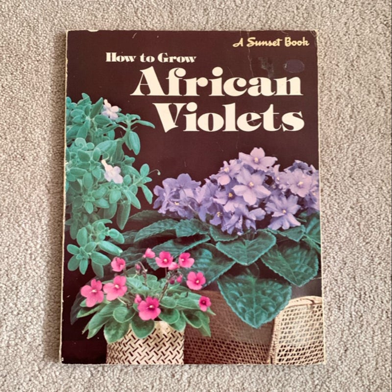 African Violets