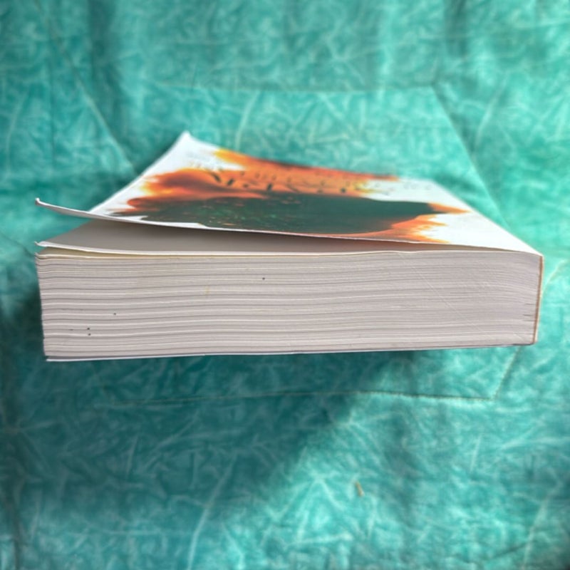 SPARK OF THE EVERFLAME (OOP edition)